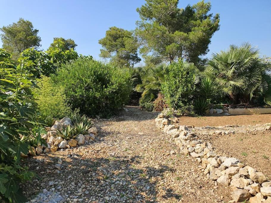 Le Petit Paradis Olivella Dış mekan fotoğraf