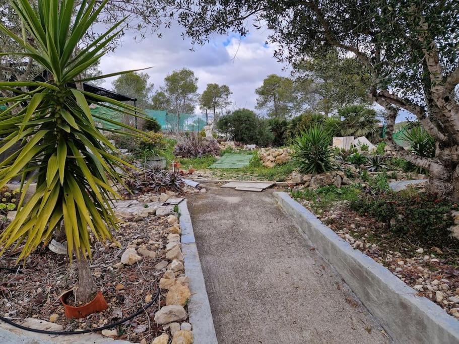 Le Petit Paradis Olivella Dış mekan fotoğraf